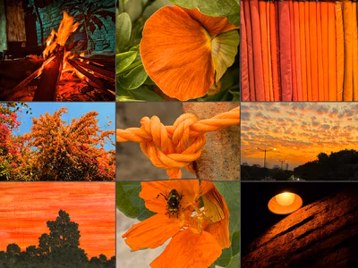 Color Hunting Challenge packages a simple scavenger hunt into a satisfying grid reveal cover